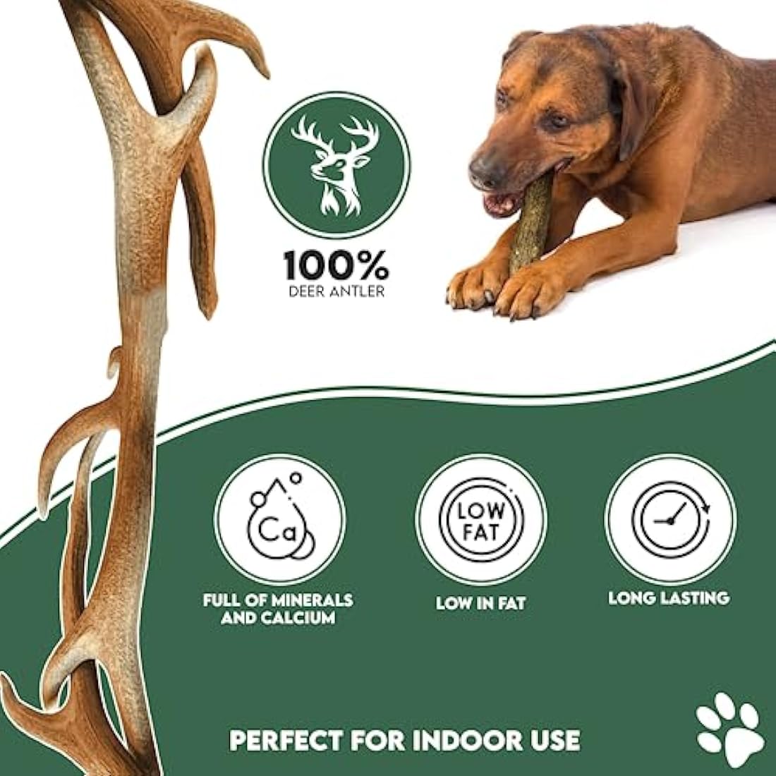 100% Natural SPLIT Antler Dog Chews The Hypo-Allergenic Dog Chew Like Stagbar (Weight - Small 30 - 50g), Size May Vary