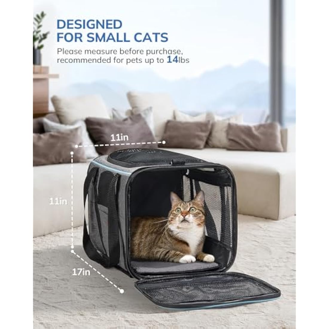 Morpilot Cat Carrier with Wheels Airline Approved, Pet Dog Carrier with Wheels for Small Dogs, Rolling Cat Carrier for Large Cats Puppy Stroller Detachable and Foldable Pet Travel Bag Dark Gray
