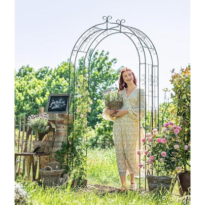 Dehner metal rose arch Belmont, 238 x 120 x 38 cm – black