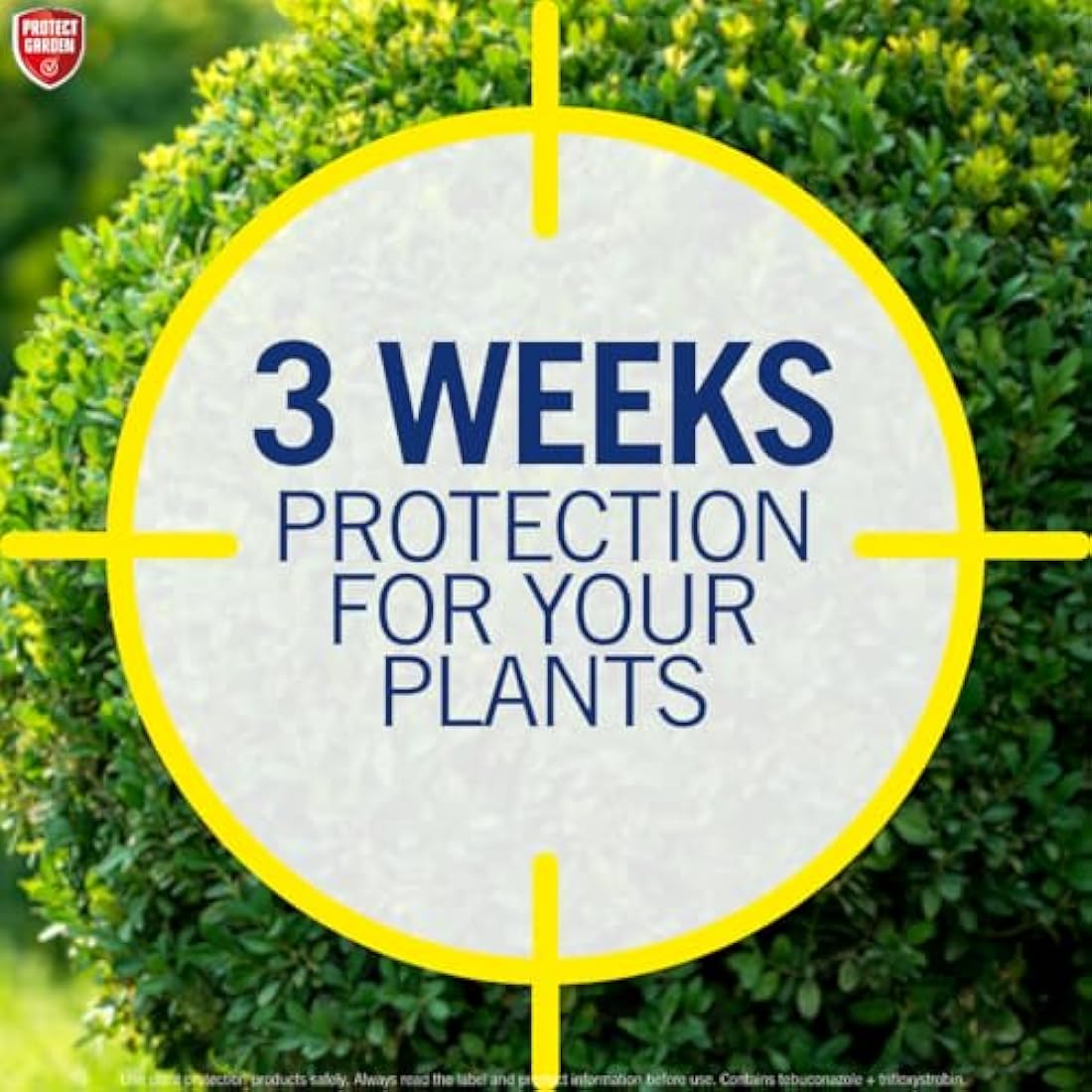Provanto - Fungus Fighter Plus - Eradicates, Controls & Protects for Up To 3 Weeks - Garden Care, Plant Protection, Ready to Use Fungicide, Use Indoor & Outdoor on Flowers, Fruit & Veg, Shrubs - 1L