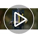 Squirrel-proof Bird Feeder for Suet Cakes - Jacobi Jayne Squirrel Buster Suet – Pigeon Proof Metal Bird Suet Feeder for Wild Birds – Easy Clean Hanging Suet Bird Feeder for Garden Birds