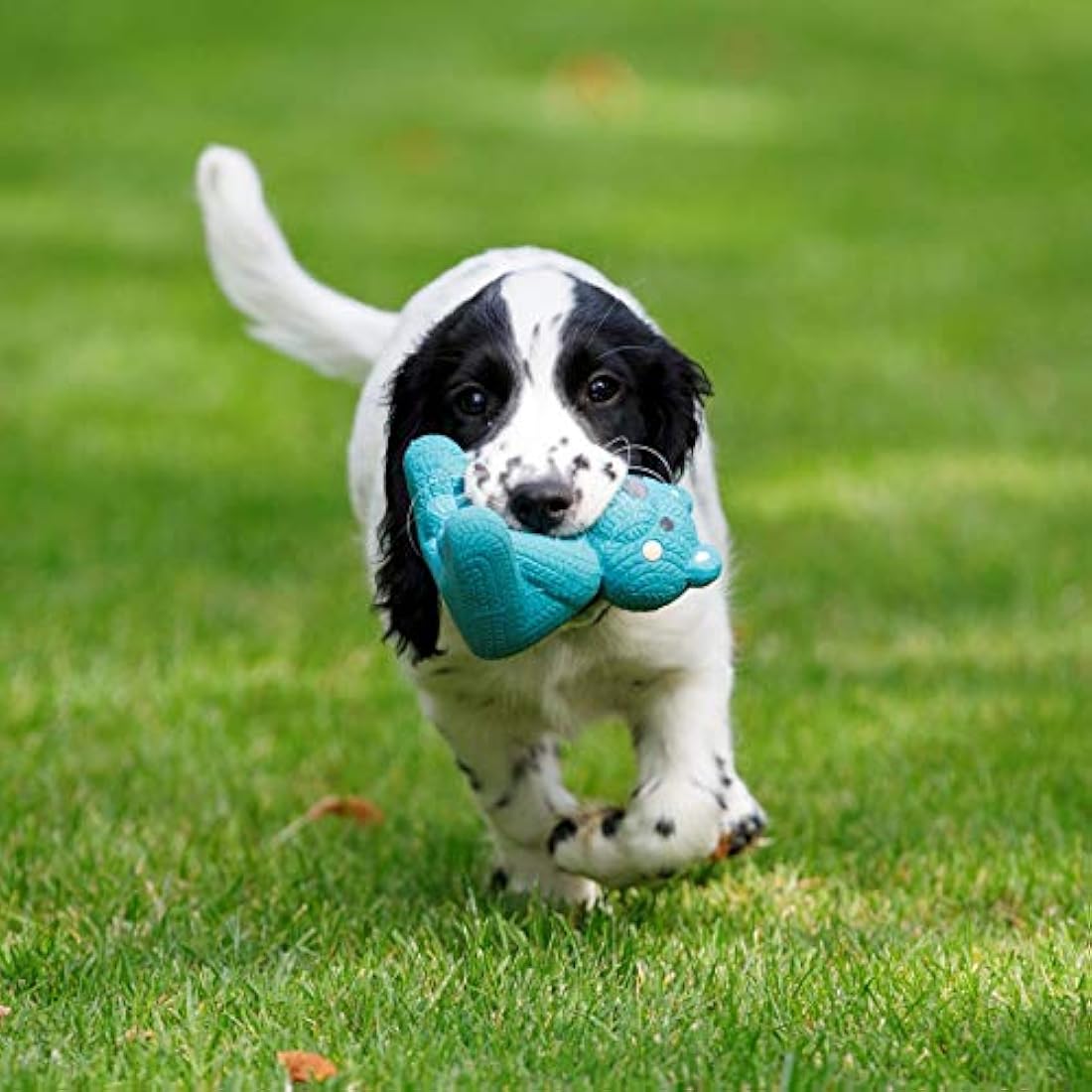 Petface Little Petface Teddy Bear Latex Chew Dog Toy, Blue (Pack of 1)