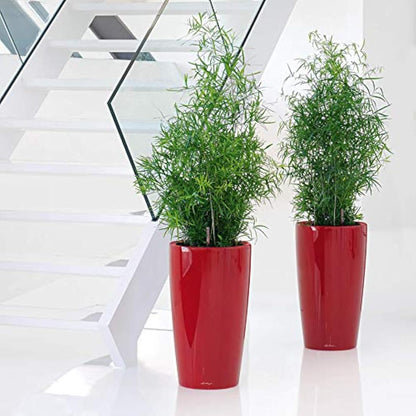 Lechuza RONDO 32 Self Watering Planter Large Plastic Indoor and Outdoor Plant Pot with Drainage Hole D32 H56 cm Shiny Taupe