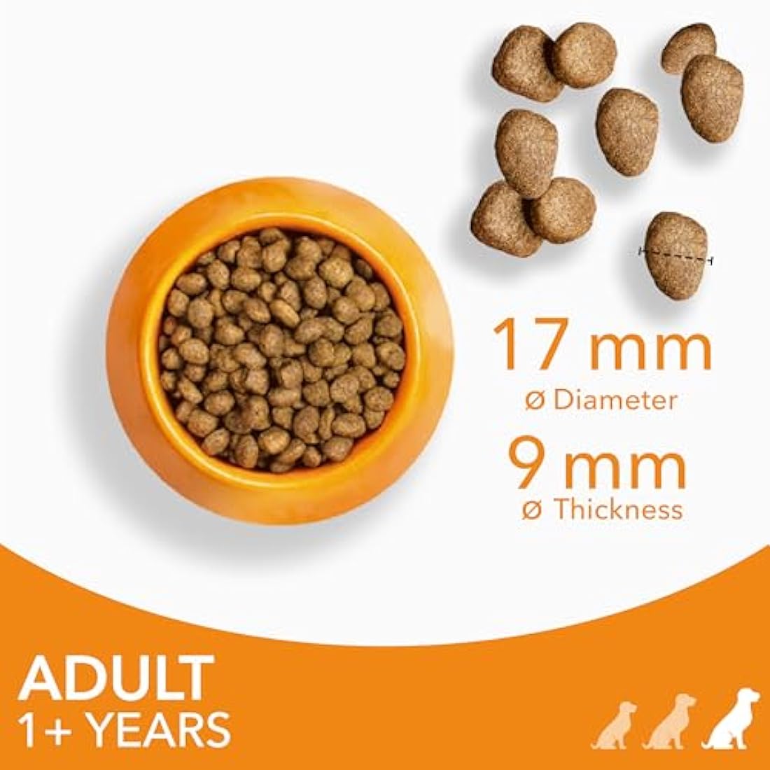 IAMS Adult Large Complete Dry Dog Food Chicken 12kg - With DentalCare System