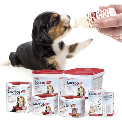 Beaphar | Lactol Puppy Milk Replacer | Complete Nutritious Feed for Newborn, Weaning & Hand Rearing Puppies | Includes DHA | Enriched with Vitamins & Minerals | 1kg (Packing May Vary)