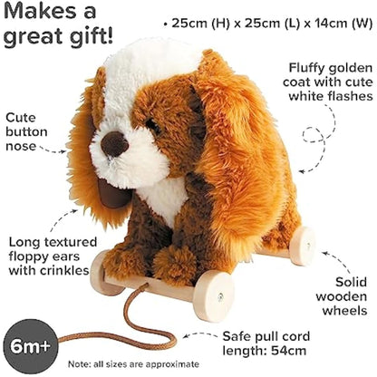 Little Bird Told Me - Peanut Pup Pull Along Toy for Baby 6+ Months Unisex - 2-in-1 Soft Toy, Removable Wheels, Sensory Plush Fabric - British Brand Since 2007