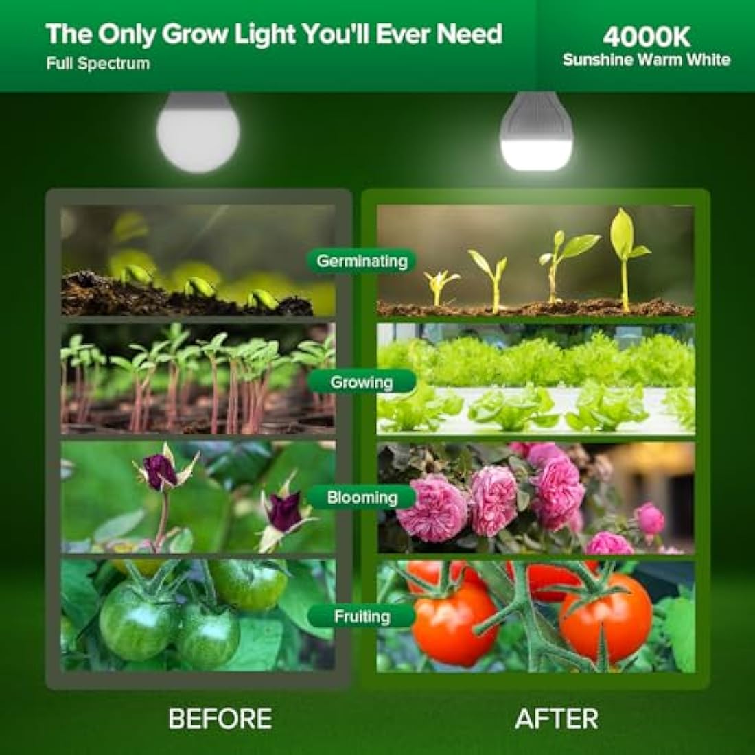 SANSI 15W LED Grow Light for Indoor Plants - 2Pack, 200W Equivalent Full Spectrum LED E27 Plant Grow Light Bulb with Frosted Lens (PPF: 27μmol/s, 120° Beam Angle, Veg Coverage: 2x2 Sq Ft)
