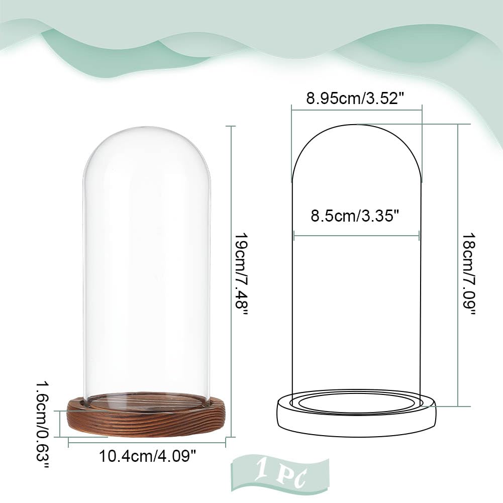NBEADS Clear Glass Dome, Clear Glass Display Case with Camel Wood Base Decorative Display Dome Case for Plants Flower Display Photos Medals