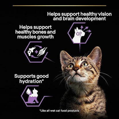 PRO PLAN Kitten Healthy Start Turkey in Gravy Wet Cat Food 10x85g, Pack of 4