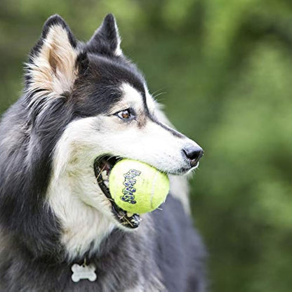 KONG SqueakAir Balls (x2) for large dogs