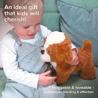Little Bird Told Me - Peanut Pup Pull Along Toy for Baby 6+ Months Unisex - 2-in-1 Soft Toy, Removable Wheels, Sensory Plush Fabric - British Brand Since 2007