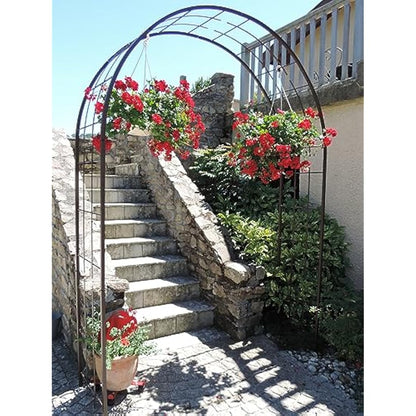 Louis Mill 3006Arch For Climbing Plants Metal Antique Iron 180x 50x 250cm