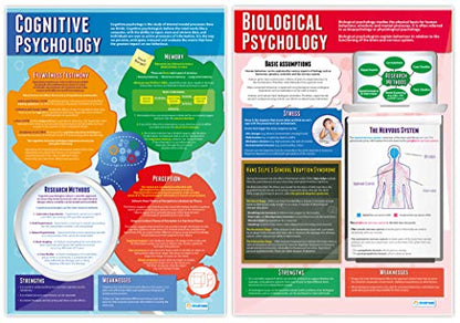 Daydream Education Psychological Approaches Classroom Posters - Set of 5 - EXTRA LARGE - A1 (850mm x 594mm) - Gloss Paper - Psychology Secondary School Wall Charts