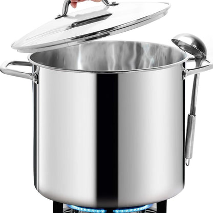 HOMICHEF Large Nickel Free Stainless Steel Stock Pot with Lid (31 cm, 22.5 Litre) - Mirror Polished Stock Pot with Lid - Heavy Soup Pot Large Cooking