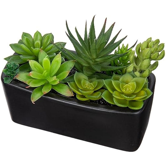 Briful Artificial Succulent Plants Faux Succulents in Black Ceramic Pot, Fake Plants Artificial Succulents Potting Mix Artificial Plants in Pot for Office Home Bathroom Shelf Decor