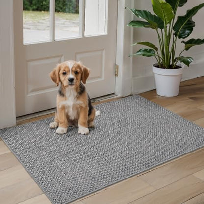DEXI Door Matts Indoor 81 x 122 cm, Dirt Trapper Doormats Inside with Non Slip Rubber Backing, Low Profile Absorbent Entrance Mat for Muddy Shoes and