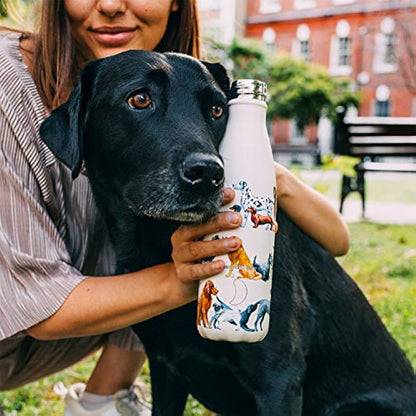 Chilly's Water Bottle - Stainless Steel and Reusable - Leak Proof, Sweat Free - Stainless Steel - V2-1.8L