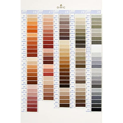 DMC Stranded Cotton Shade Card - W100B