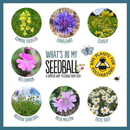 SEEDBALL Urban Meadow Mix Seed Bombs (Wild Flower Tin) – 20 Balls | British Wildflower Seeds - Seed Bomb for Bees, Butterflies, Birds & Garden Wildlife – A Colourful Mix of Annuals & Perennials