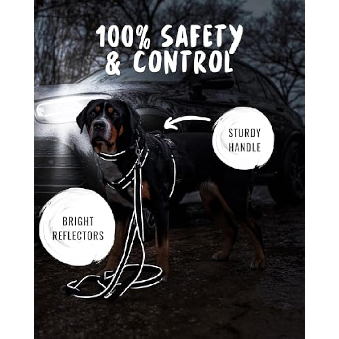 Rudelkönig dog harness Paola - Reflective Chest Harness with Handle - Adjustable medium no pull harness for dogs - For medium dogs