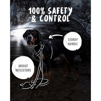 Rudelkönig dog harness Paola - Reflective Chest Harness with Handle - Adjustable medium no pull harness for dogs - For medium dogs