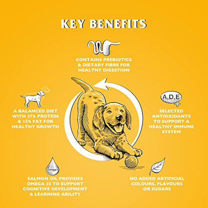 Dr John Dry Puppy Food 10kg with Omega-3s - Chicken Recipe - Complete Nutrition for Puppies of Sporting Active Breeds - Junior High Protein Dry Dog Food.