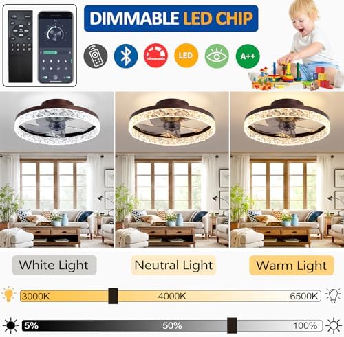 Quiet Ceiling Fans with Lights Remote Control, Modern Lighting Fan Ceiling Light LED Dimmable Ceiling Fan Lamps for Bedroom Living Room, Fan Reversible and 6 Speeds (Black, 50CM)