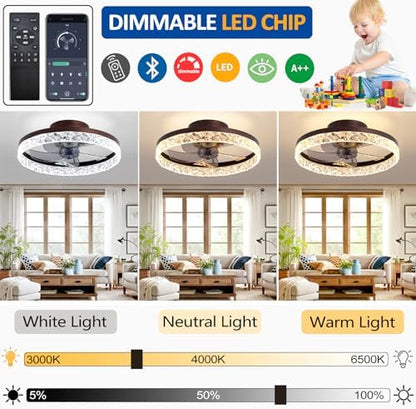 Quiet Ceiling Fans with Lights Remote Control, Modern Lighting Fan Ceiling Light LED Dimmable Ceiling Fan Lamps for Bedroom Living Room, Fan Reversible and 6 Speeds (Black, 50CM)