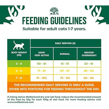 James Wellbeloved Adult Turkey 4 kg Bag, Hypoallergenic Dry Cat Food