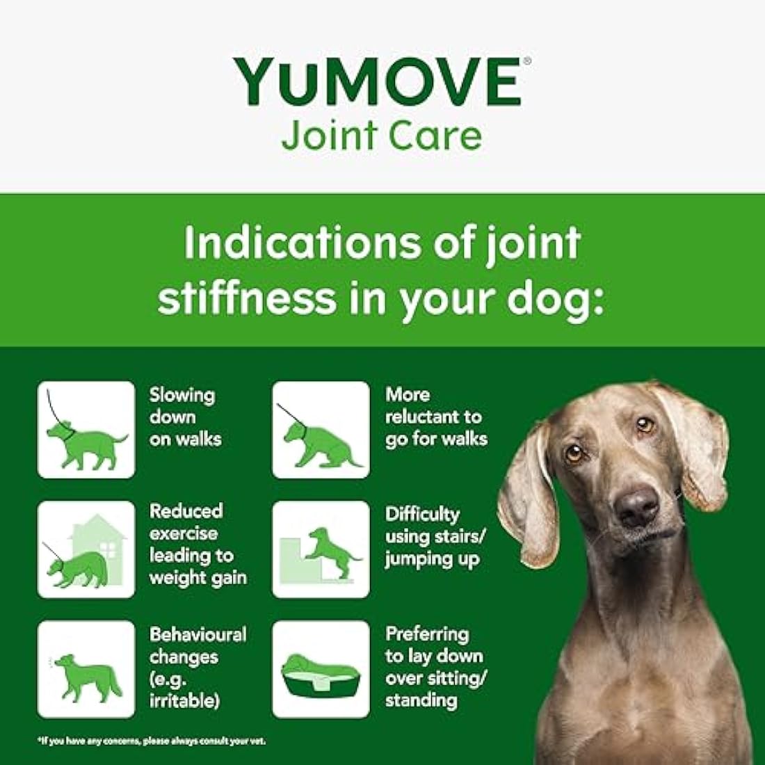 YuMOVE Joint Supplement for Dogs, ONE-A-DAY for Joint Care, Essential Dog Hip and Joint Aid for Stiff Large Dogs with Glucosamine, Chondroitin, Green Lipped Mussel, 30 Chews - 1 Month supply