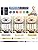 LED Ceiling Fans with Lights Reversible Remote, 6 Speeds Modern Bedroom Fan Ceiling Light Quiet Dimmable Small Ceiling Fan Light for Living Room, White 40CM