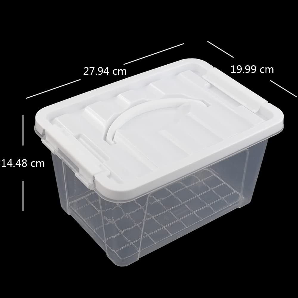Innouse 6 Packs Small Storage Boxes 5 L, Clear Plastic Box with Handles