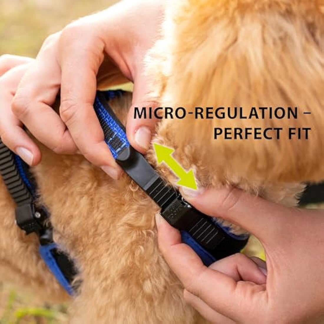 Ferplast Medium Size Dog Harness ERGOCOMFORT MEDIUM, Adjustable Dog Harness, Comfortable, Padded, Double Micro-adjustment Closure, Quick Release, Blue