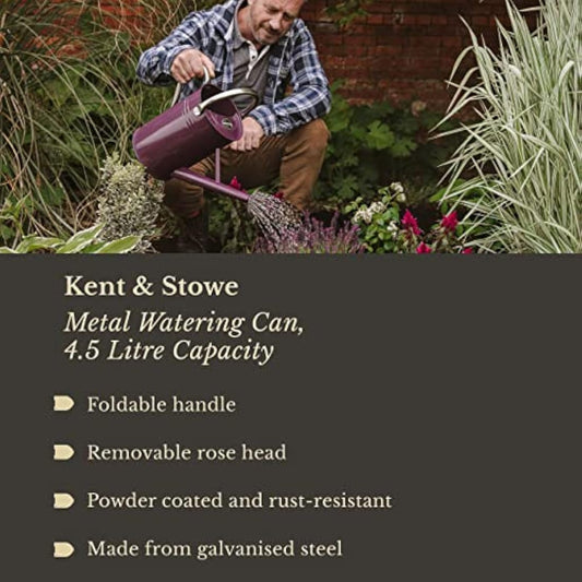 Kent & Stowe 4.5L Metal Watering Can in Deep Violet, Rust-Resistant Galvanised Watering Can with Handle and Detachable Rose, Classic All Year Round Garden Tools Made from Steel