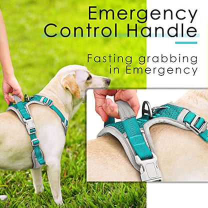 ThinkPet No Pull Harness Breathable Sport Harness with Handle-Dog Harnesses Reflective Adjustable for Medium Large Dogs,Back/Front Clip for Easy Control S Bright Teal
