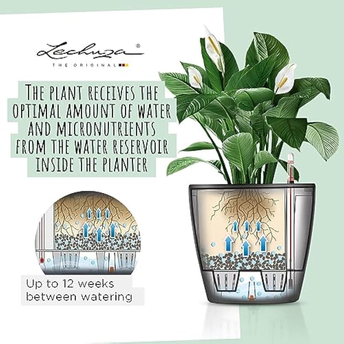 Lechuza Self Watering Plant Pot CLASSICO 50 LS Garden Flower Indoor and Outdoor Plastic Planter with Drainage Hole D50 H47 cm Shiny Taupe