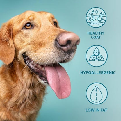 Burns Pet Nutrition Hypoallergenic Complete Dry Dog Food Adult and Senior Dog Original Fish and Brown Rice 2 kg
