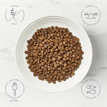 Encore High Protein Complete and Grain Free Dry Cat Food for Adult Cats, Chicken 2.4kg