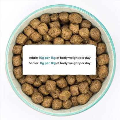 Burns Pet Nutrition Complete Dry Hypoallergenic Dog Food For Sensitive Dogs – Turkey and Potato 12 kg