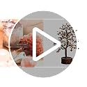 Wonder Care Crystal Tree for Home Decor - Healing Stones & Gems - Witchy Room Decor - Green Aventurine