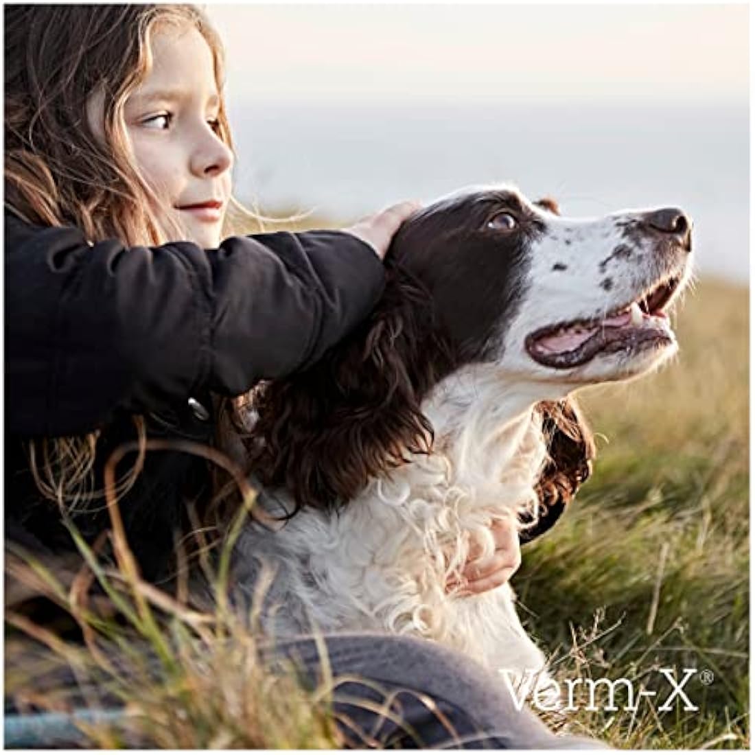 Verm-X All Natural Liquid for all Dogs. Supports  Intestinal Hygiene. Vet Approved. UFAS Assured. Restores and Maintains Gut Vitality. Wormwood Free Recipe., Clear