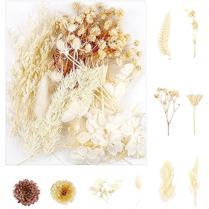 Decorative Artificial Dried Flowers - Natural Everlasting Floral Bundle(Style A)