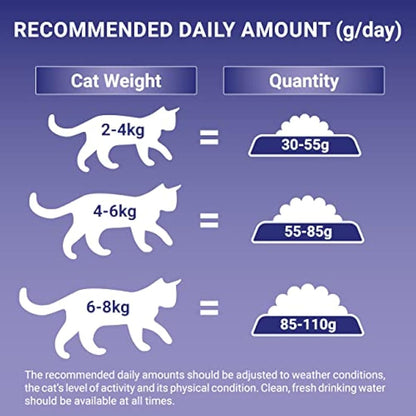 Purina ONE Sensitive Dry Cat Food Turkey & Rice 3kg (Case of 4)