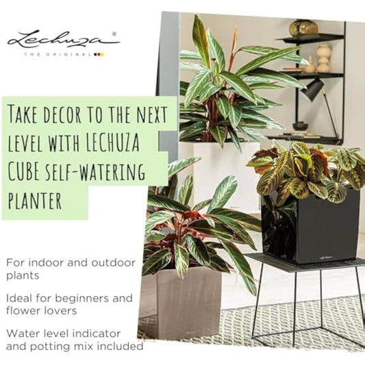 Lechuza Self Watering Plant Pot CUBE 40 Garden Flower Indoor and Outdoor Plastic Planter with Drainage Hole H40 L40 W40 cm White High-Gloss