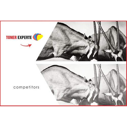 TONER EXPERTE 2-Pack Compatible with TK-1160 TK1160 Premium Toner Cartridges for Kyocera ECOSYS P2040dn, P2040dw