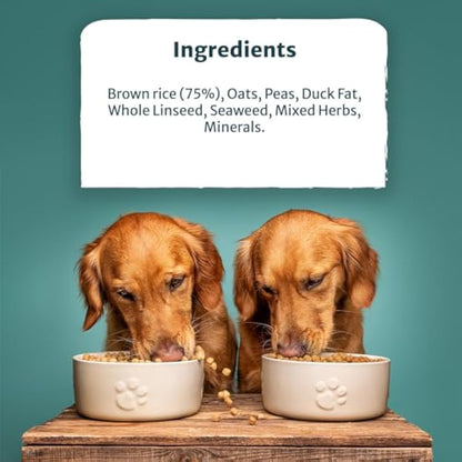 Burns Pet Nutrition Adult and Senior Dog Hypo-allergenic Mixer 2 kg