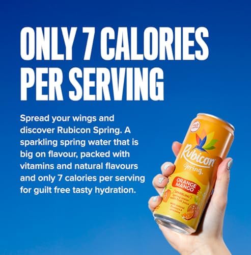 Rubicon Spring 12 Pack Black Cherry Raspberry, Sparkling Spring Water with Real Fruit Juice & Natural Flavours, , Only 9 Calories - 12 x 330ml Multipack Cans