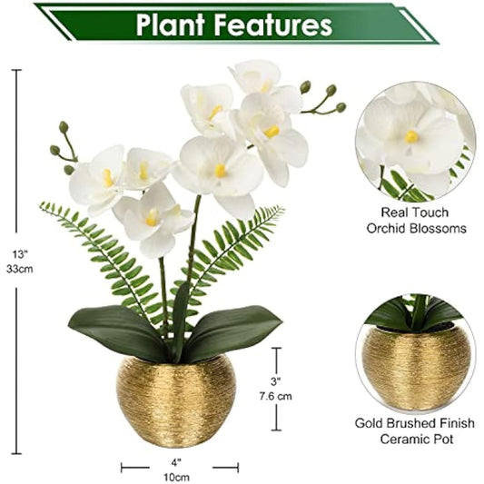 Briful Artificial Orchid Plants White Orchid Real Touch Flowers Artificial Phalaenopsis Flower Stems in Gold Ceramic Pot Fake Orchid Flowers for Home Decor Wedding Table Centerpiece