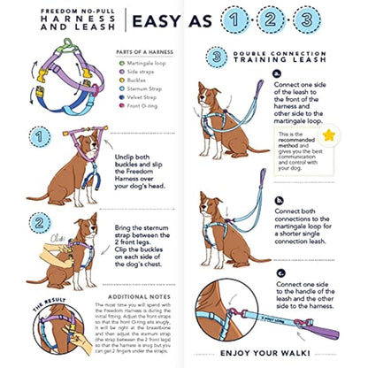 2 Hounds Design Freedom No-Pull Dog Harness with Leash, Medium, 5/8-Inch Wide, Teal