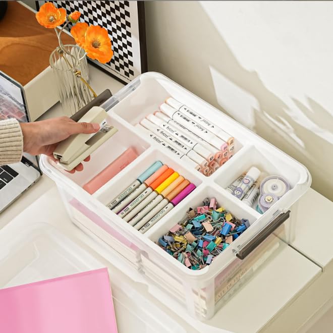 Clear Storage Box with Removable Tray, Plastic Storage Bins with Lids
